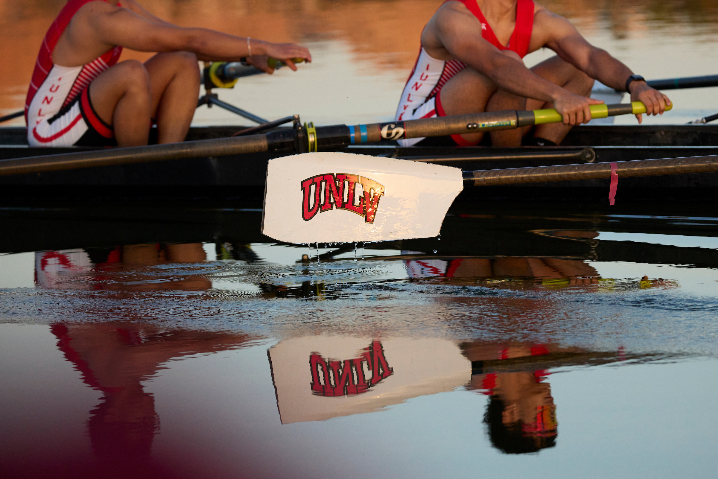 linkSet?.NavCalloutImage.Value(